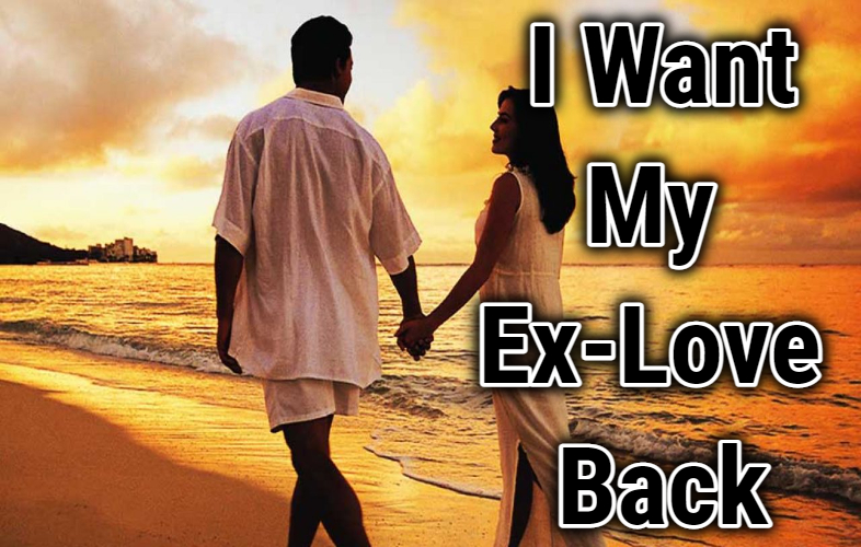 I Want My Ex-Love Back